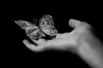 Arnaud VIENNE Magnétiseur